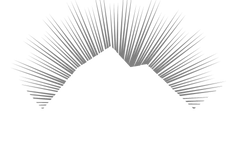 Mount Albert Bible Fellowship